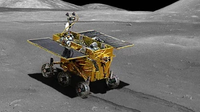 Guten Morgen „Jadehase“