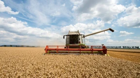 Gleicher, reicher, gefährlicher