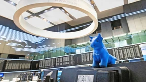 Die Lieblingsaktien der Deutschen