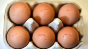 Aldi verkauft wieder Eier