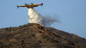 Heftige Waldbrände nahe Athen