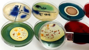 Die Geschichte einer schwierigen Beziehung