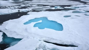 Am Nordpol, denkt man, ist es kalt