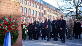 Die Grünen ganz harmonisch