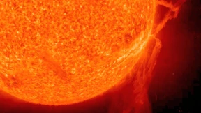 Fossile Zeugen einer wilden Sonne