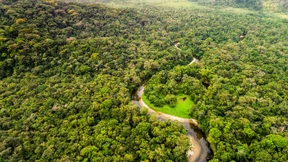 Großinvestoren schließen sich zusammen