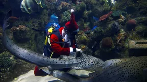 Bescherung für die Fische
