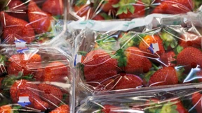 EU will Plastikverpackungen ab 2030 teilweise verbieten