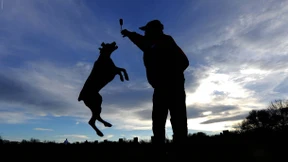 Warum sich die Rentner im Westen besonders freuen dürfen