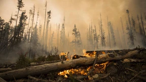 Heftige Waldbrände dauern an