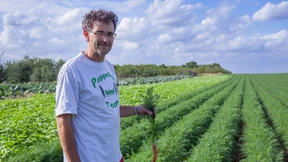 In der Abgeschiedenheit zu Hause