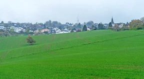 Warum nicht aufs Land ziehen?