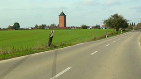 Versicherer belohnen fließende Fahrweise