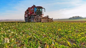 Das Risiko für die Bauern steigt