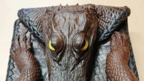 Zoll beschlagnahmt Geldbörse aus Krokodiljungtier