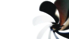 Das Leben ist ein Billigflug