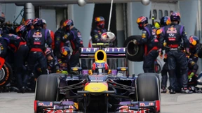 Die Natur eines Champions