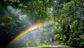 Wo Gefahr ist, wächst das Rettende auch