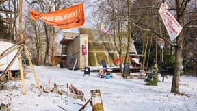 Darmstadt bereitet Rodung am Osthang der Mathildenhöhe vor