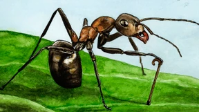 Das Gleichgewicht wahren