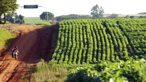 Nur noch kleine Wachstumsinseln in Südamerika
