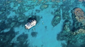 Der harte Kampf um das Great Barrier Reef