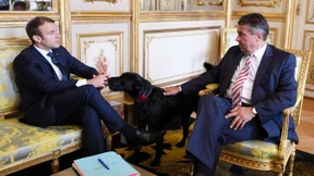 Genossin Lima wählt Groko