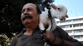 Zwölf Milliarden für Griechenland freigegeben