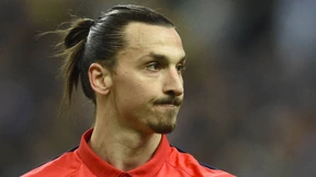Der Streitfall Ibrahimovic
