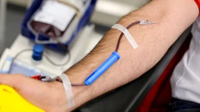 Wird das Blutspendeverbot für Homosexuelle bald gelockert?