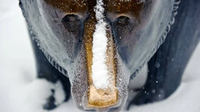 Wenig Spaß an Börse und Ölmarkt