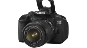 Sie kann es vielen recht machen