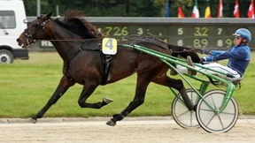 Ein finnischer Superhengst erobert Europa