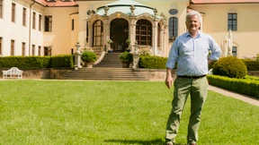 Zurück zu den Wurzeln