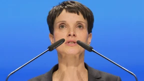 AfD verliert an Zustimmung