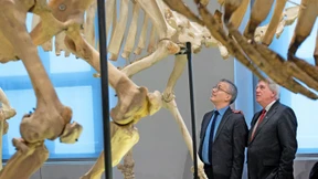 So wurde ein politischer Gegner zum geschätzten Regierungspartner