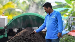 Wie Forscher den Reisanbau klimafreundlicher machen 