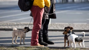 Wo kommen die Innovationen in der Versicherung her?