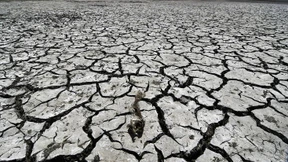 Rendite mit Klimaschutz