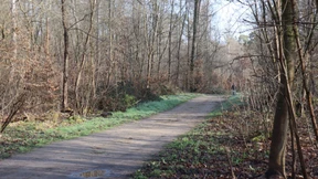 Jugendlicher soll 19-Jährige getötet haben