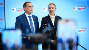 Die Wähler lassen die AfD davonkommen