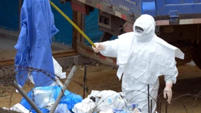 Deutsche Experten sollen helfen