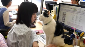 Entzugshilfe für Workaholics