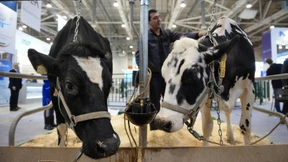 Wie Digitalisierung die Landwirtschaft verändert