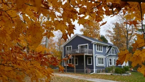 Haben Sie die Farben gesehen?