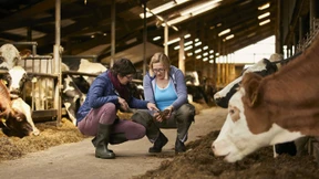 Bauernverband sucht Frau – oder auch nicht