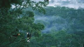 Wie Milliarden in den Naturschutz fließen sollen