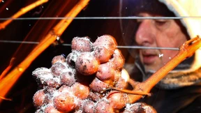 Schon wieder zu warm für Eiswein 