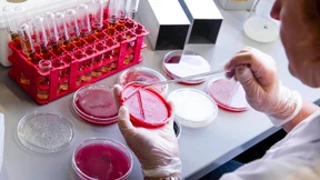 Zahl der Fälle erreicht Rekordniveau 