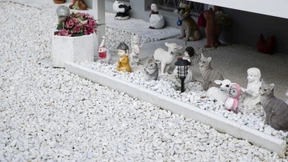 Die Sache mit den Schottergärten